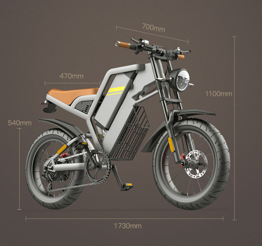 20 Inch Electric Bicycle
