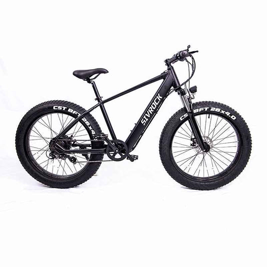26'' Electric E-bike