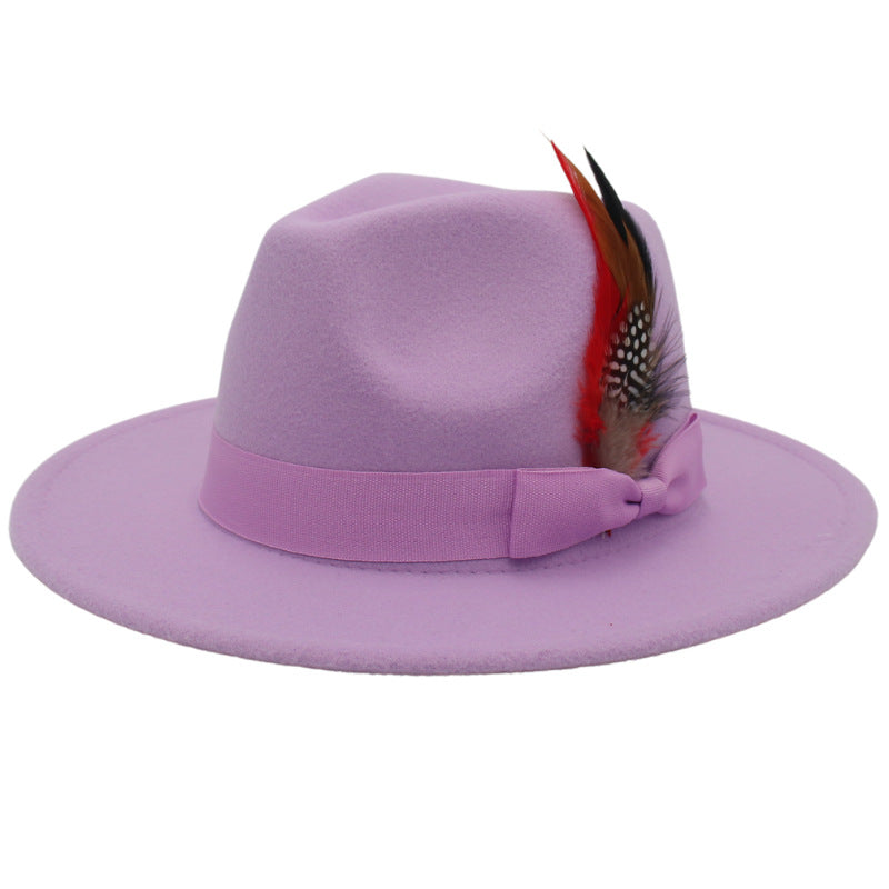 Bow Feather Autumn And Winter Broad-brimmed Hat European And American Style Cashmere Felt Cap