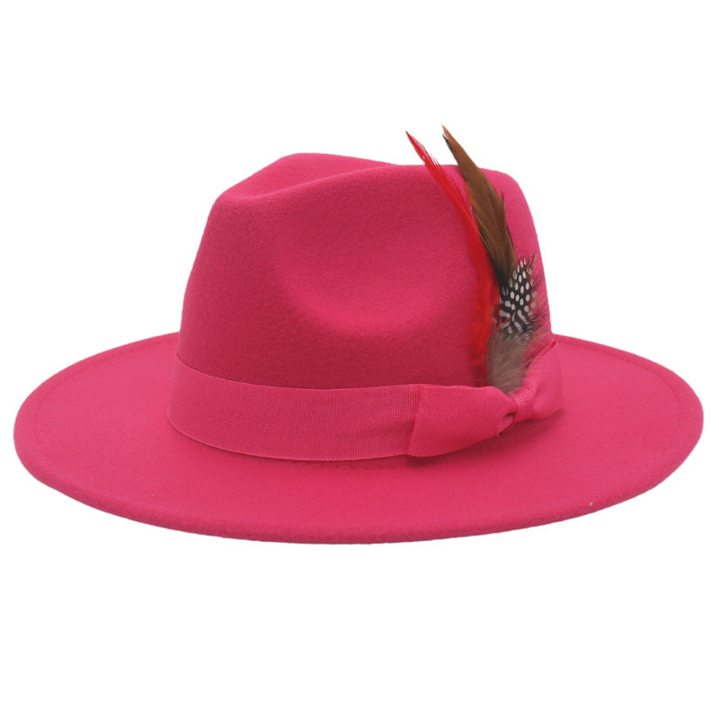 Bow Feather Autumn And Winter Broad-brimmed Hat European And American Style Cashmere Felt Cap