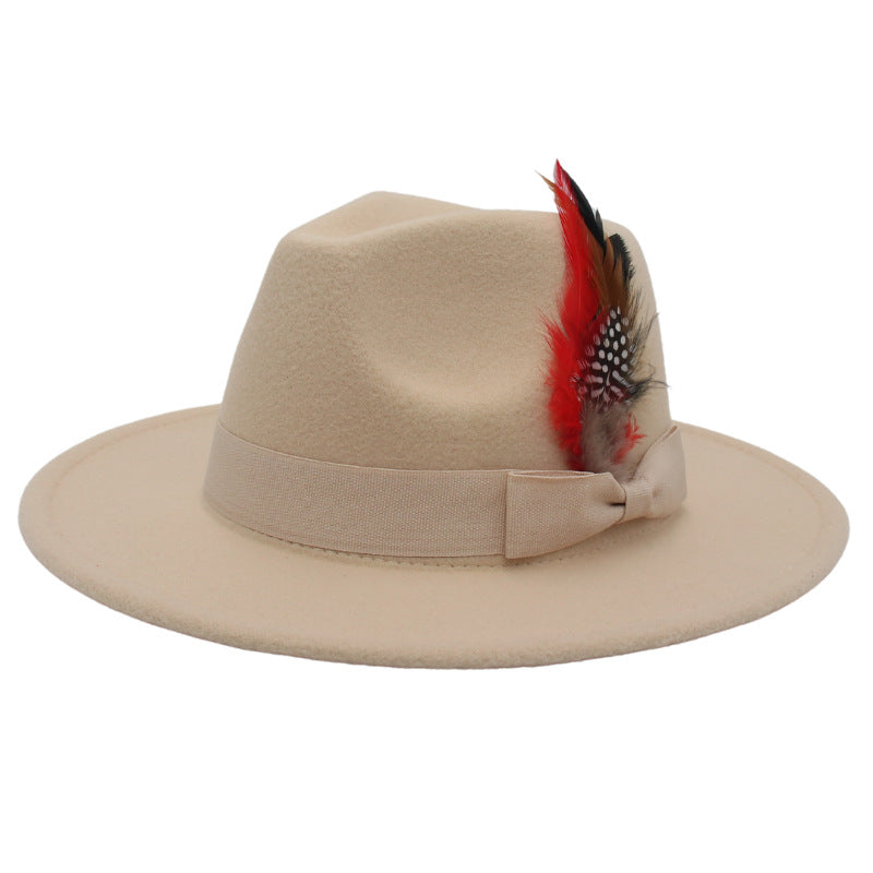 Bow Feather Autumn And Winter Broad-brimmed Hat European And American Style Cashmere Felt Cap