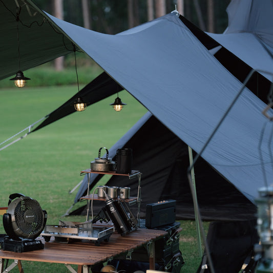 Black Winged Butterfly Canopy