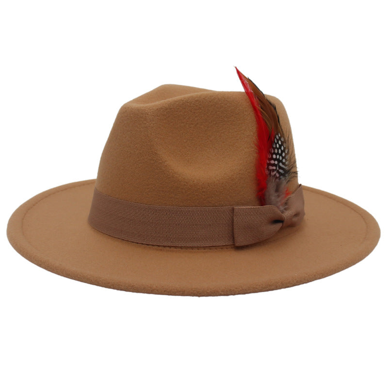 Bow Feather Autumn And Winter Broad-brimmed Hat European And American Style Cashmere Felt Cap