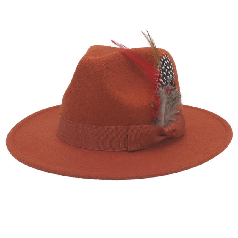 Bow Feather Autumn And Winter Broad-brimmed Hat European And American Style Cashmere Felt Cap