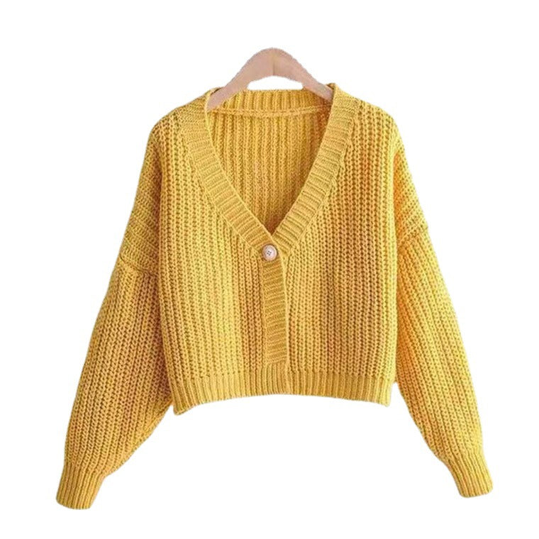 New Autumn And Winter Clothes Baggy Coat Soft Thick Thread Short Cardigan Sweater For Women