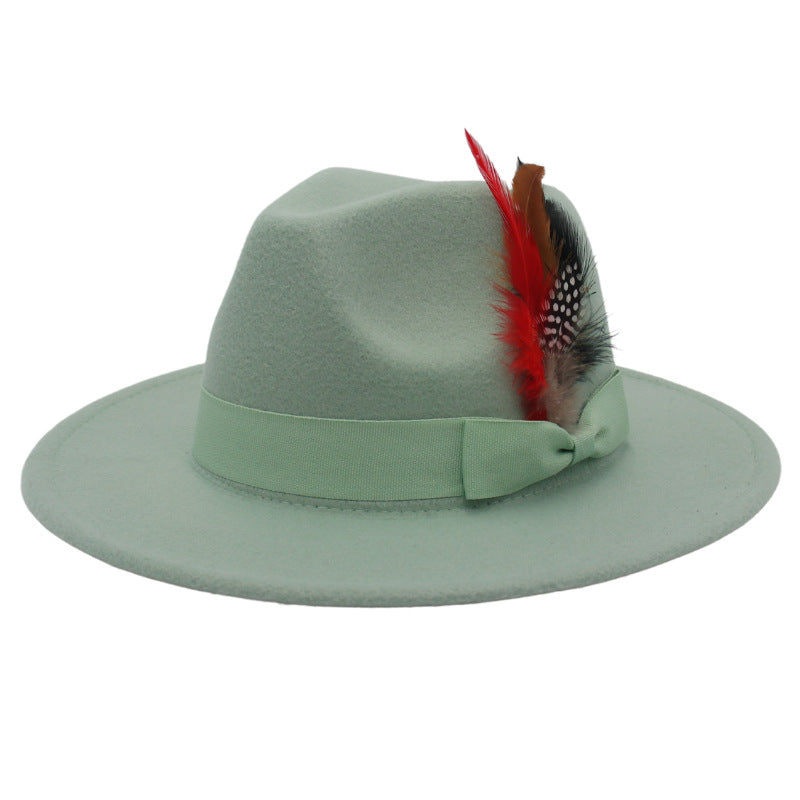 Bow Feather Autumn And Winter Broad-brimmed Hat European And American Style Cashmere Felt Cap