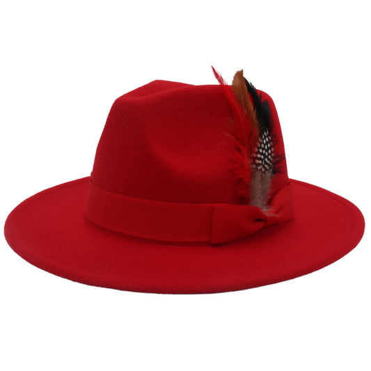 Bow Feather Autumn And Winter Broad-brimmed Hat European And American Style Cashmere Felt Cap