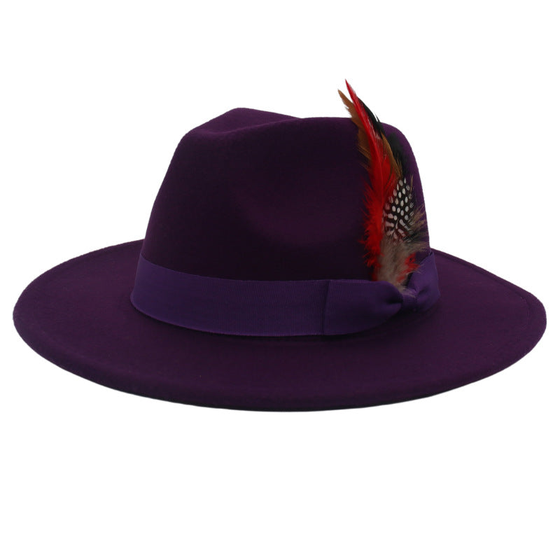 Bow Feather Autumn And Winter Broad-brimmed Hat European And American Style Cashmere Felt Cap