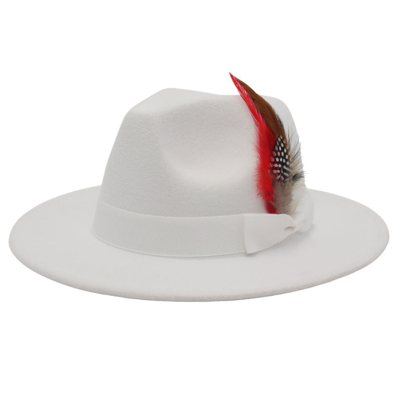 Bow Feather Autumn And Winter Broad-brimmed Hat European And American Style Cashmere Felt Cap